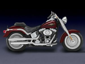 2009 HARLEY-DAVIDSON SOFTAIL FLSTF - FAT BOY