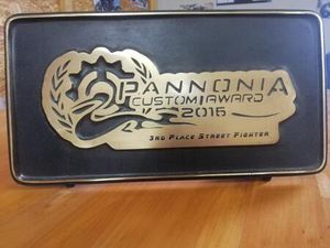 STREETFIGHTER UMBAU BUELL X1