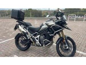 TIGER 1200 RALLY PRO (2024 - 25)