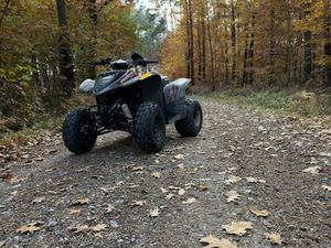 POLARIS PHOENIX 200 BRZÓZA KRÓLEWSKA