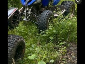 250 RAPTOR HOMOLOGUÉ