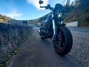 BENELLI LEONCINO 500