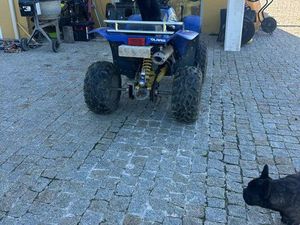 ÉCHANGE QUAD OU VEND POLARIS 500