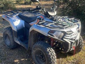 QUAD GOES COPPER 300 CC