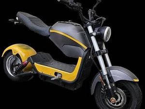 E-ROLLER CITY MAX R1 CANTON LUCERNE -