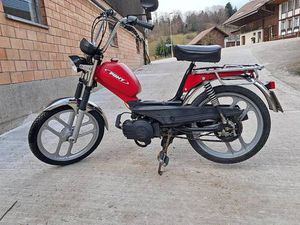 PONY GTX AB PLATZ ZU VERKAUFEN CANTON BERNE -