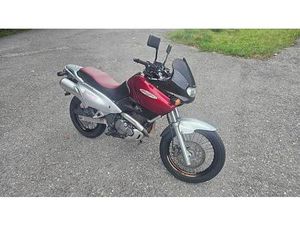SUZUKI XF 650 FREEWIND CANTON ARGOVIE -