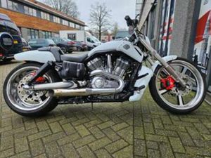 HARLEY-DAVIDSON V-ROD MUSCLE VRSCF 2017 — MOTOREN | HARLEY-DAVIDSON — MARKTPLAATS