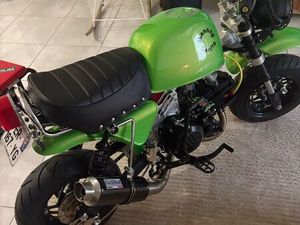 MOTO MONKEY GORILLA OK