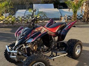 350 RAPTOR HOMOLOGUÉ