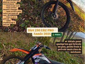 DIRT 250 ERZ À VENDRE