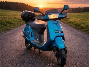 PEUGEOT SV 50 ROLLER - LÄUFT GUT, NEUE BATTERIE