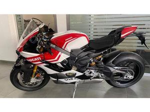 VENDO DUCATI PANIGALE V4 TRICOLORE (2025 - 26) NUOVA A CAPUA (CODICE 9898296) - MOTO.IT
