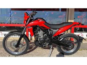 VENDO BETAMOTOR ALP 4.0 (2024 - 26) NUOVA A SUZZARA (CODICE 9406418) - MOTO.IT