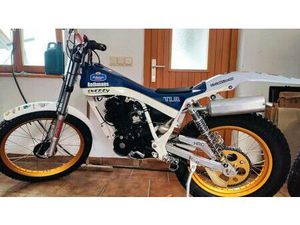 HONDA TLR 200 SNEZZY