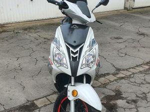 ADLY GTA 50 | 25 KM/H | BJ 2015 |