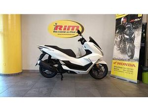 VENDO HONDA PCX 125 (2025 - 26) NUOVA A RICCIONE (CODICE 9784861) - MOTO.IT
