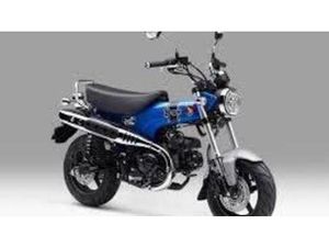 VENDO HONDA DAX 125 (2025 - 26) NUOVA A VIAREGGIO (CODICE 9671804) - MOTO.IT