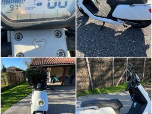 SCOOTER ÉLECTRIQUE NIU MQI SPORT 50 – 2022 - 1 500