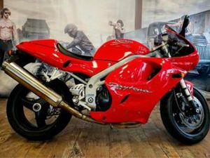 TRIUMPH DAYTONA 955I (BJ 1999) — MOTOREN | TRIUMPH — MARKTPLAATS