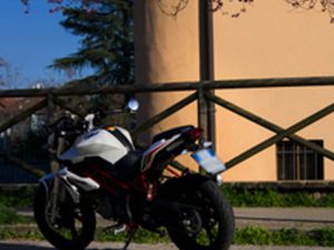 BENELLI BN 125 2021