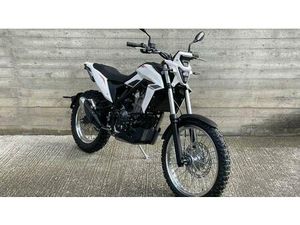 VENDO BETAMOTOR ALP 4.0 (2024 - 26) USATA A CLUSONE (CODICE 9621124) - MOTO.IT