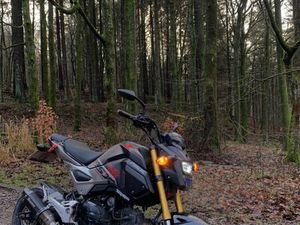 HONDA, MSX, 2020, 125 (CC)