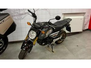 VENDO HONDA MSX 125 GROM (2021 - 26) USATA A FIRENZE (CODICE 9905195) - MOTO.IT