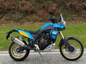 TENERE 700 RALLY MAZEDO E CORTES