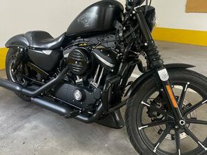 OCCASION HARLEY-DAVIDSON SPORTSTER XL 883 N IRON