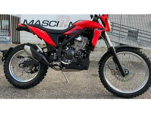 VENDO BETAMOTOR ALP 4.0 (2024 - 26) NUOVA A TERNI (CODICE 9608357) - MOTO.IT