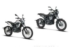 VENDO BETAMOTOR ALP X (2024 - 26) NUOVA A GUARDIAGRELE (CODICE 9881120) - MOTO.IT