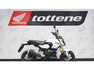 VENDO HONDA MSX 125 GROM (2021 - 26) NUOVA A BASSANO DEL GRAPPA (CODICE 9598186) - MOTO.IT