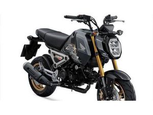 VENDO HONDA MSX 125 GROM (2021 - 26) NUOVA A CUREGGIO (CODICE 9163819) - MOTO.IT