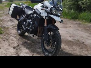 TRIUMPH TIGER