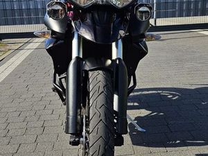 TRIUMPH TIGER