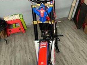 BETA EVO 300 FACTORY