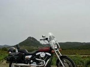 HARLEY-DAVIDSON ALTRO MODELLO - 1987