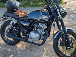 125 MASH BLACK SEVEN