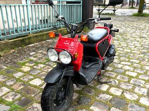 HONDA ZOOMER RUCKUS NPS50 ?