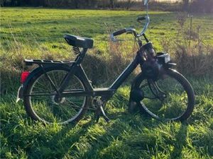 SOLEX 3800