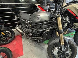 BENELLI LEONCINO 800