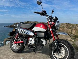 HONDA MONKEY 125 2019 COMME NEUF