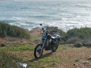 APRILIA RED ROSE - 1991