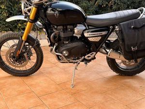 TRIUMPH SCRAMBLER 1200 XE – 2024 – 9 500 KM – OPTIONS – 11 500
