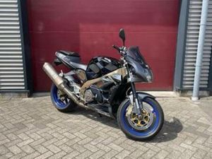 APRILIA RSV 1000 TUONO — MOTOREN | APRILIA — MARKTPLAATS