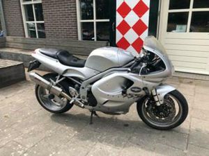 TRIUMPH DAYTONA 955I (BJ 2000) — MOTOREN | TRIUMPH — MARKTPLAATS
