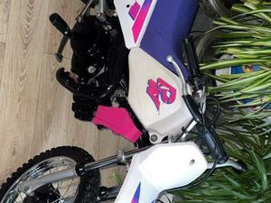 RECHERCHE PIWI ROSE 1993 1991