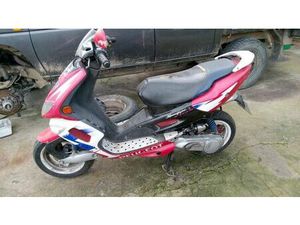 PEUGEOT SPEED FFH ALCAINS