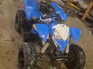 POLARIS 110 EFI OUTLAW